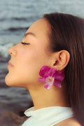 Sabana Rosa- Pendientes