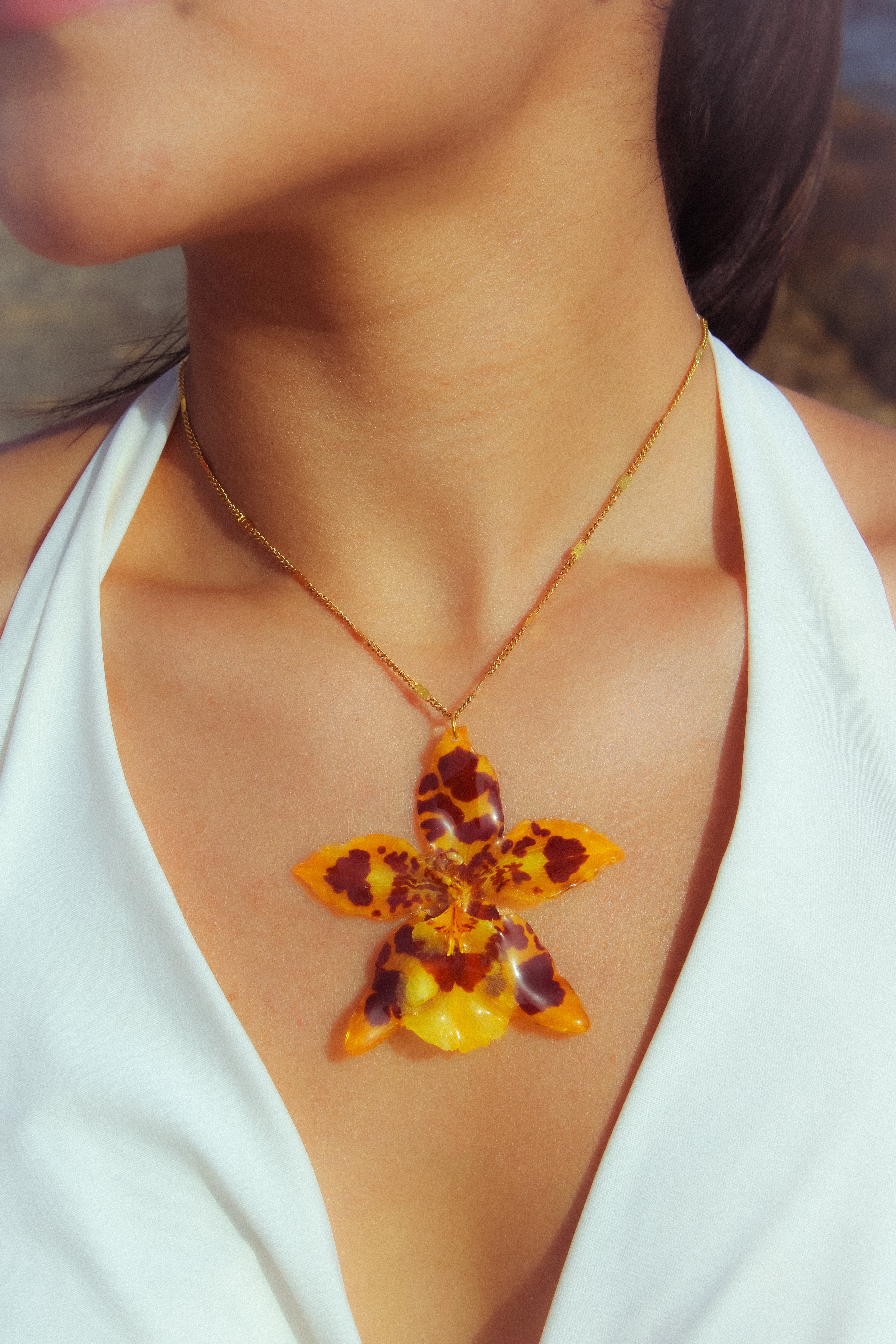 Cumbre manchas - Collar