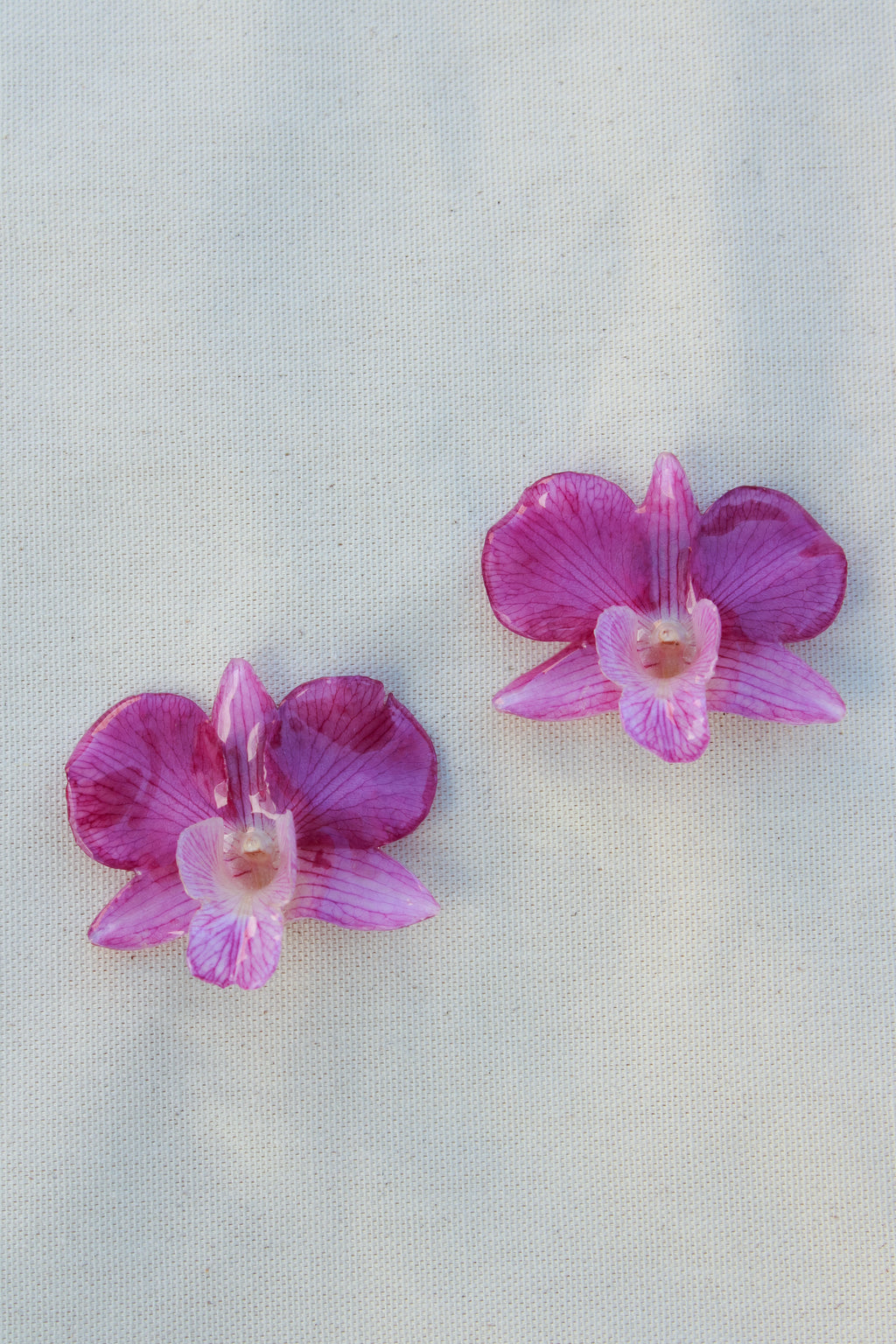 Sabana Rosa- Pendientes