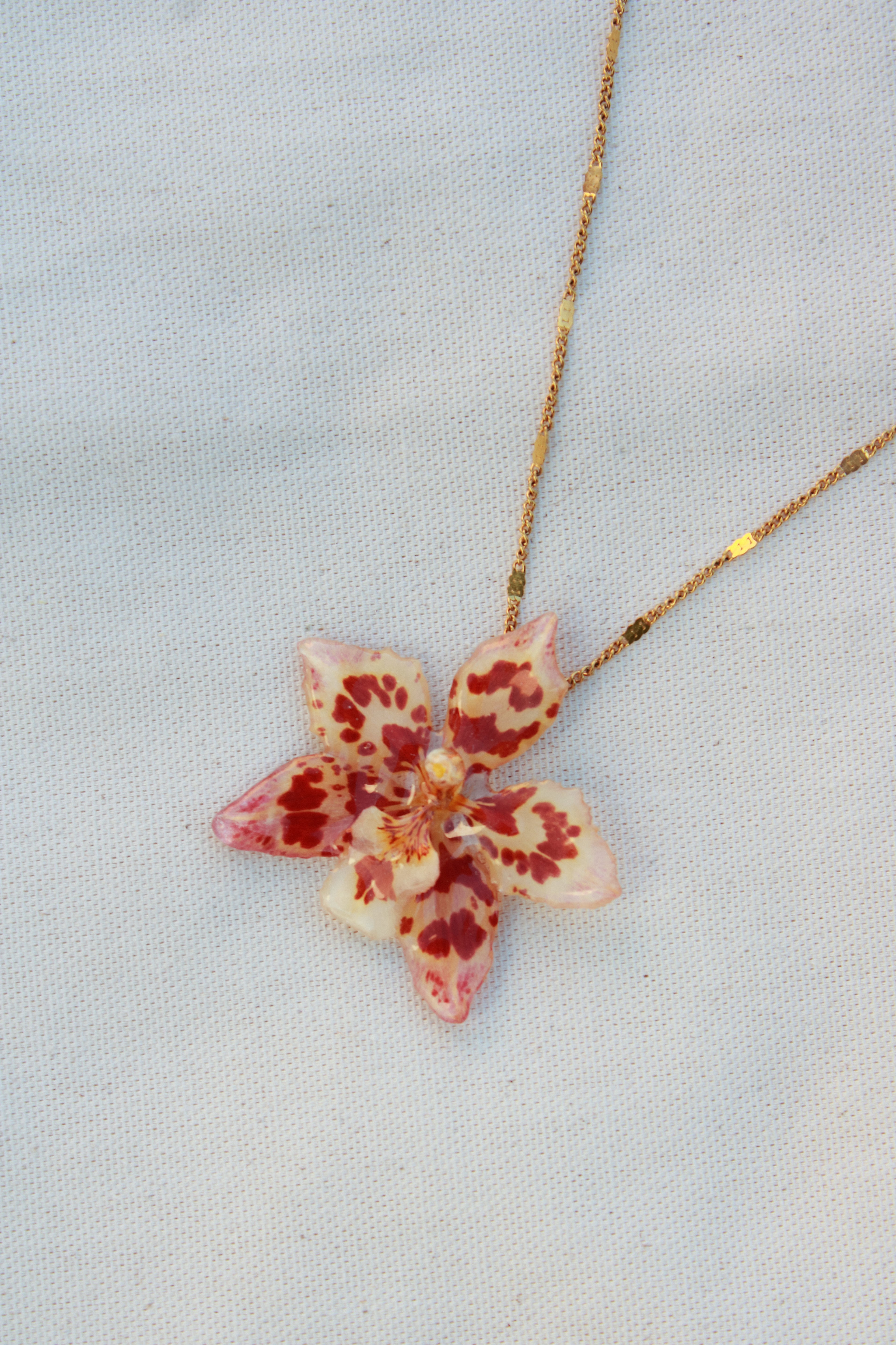 Cumbre manchas - Collar
