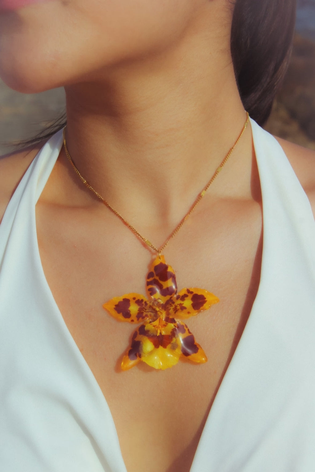 Cumbre manchas - Collar